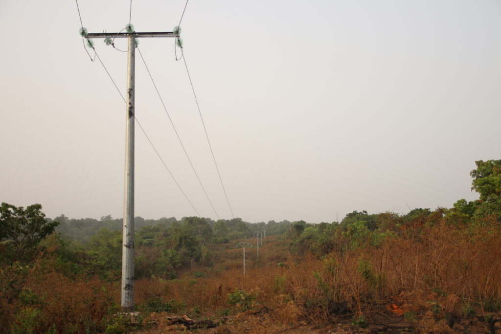 Section ligne MT vers Mbakaou (7)