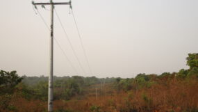 Section ligne MT vers Mbakaou (7)