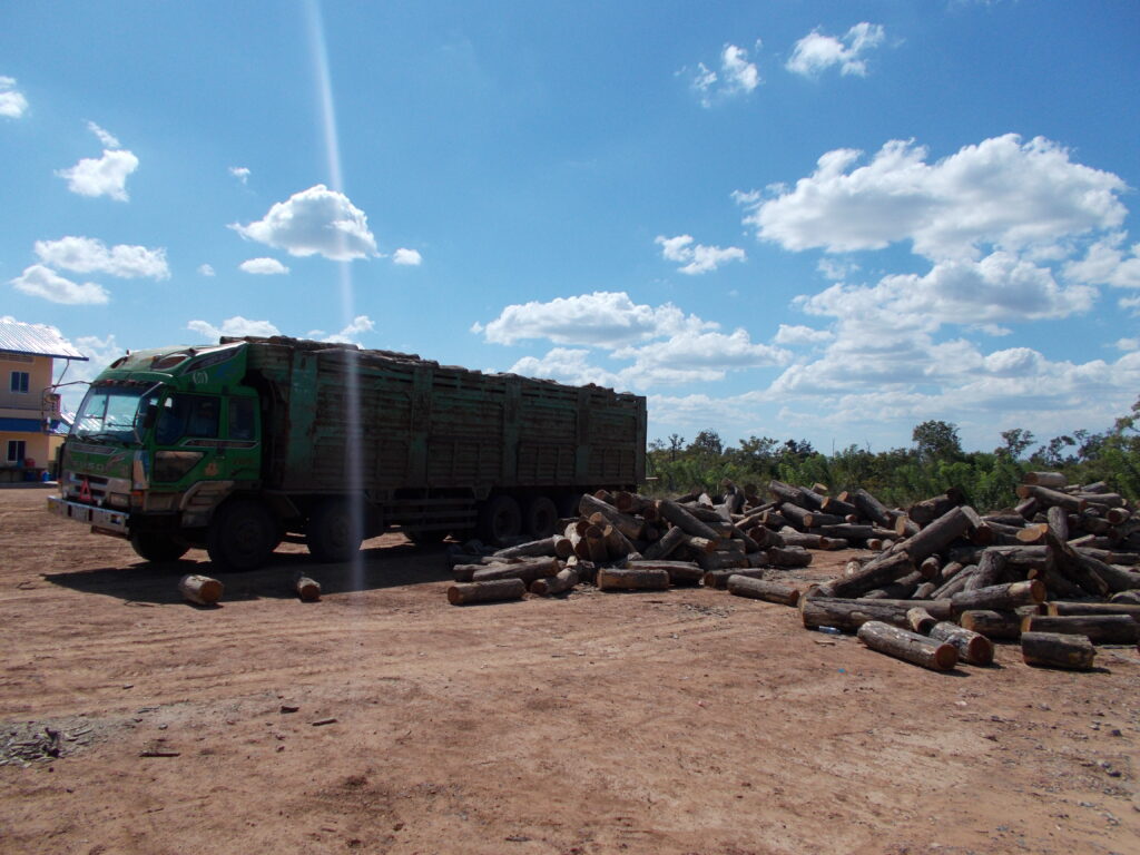 SraEm Picture 2017-12-16 (12)