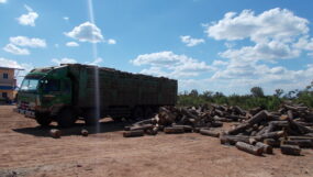 SraEm Picture 2017-12-16 (12)