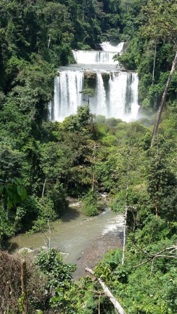 Projet-ERD-RUMPI-Electrification-rurale-par-energie-hydroelectrique-et-renforcement-dactivites-generatrices-de-revenu-dans-la-zone-de-RUMPI-