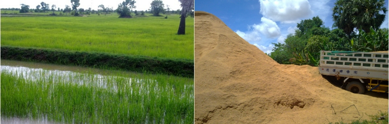 Développement d´une unité de production indépendante basée sur la valorisation de biomasse