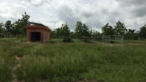 Champs solaire - Calavi Bénin 1