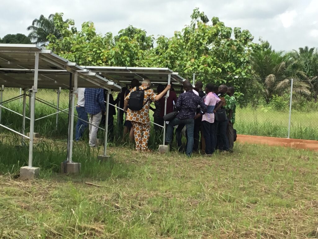 Champs solaire - Calavi Bénin 10