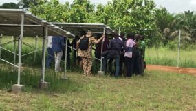 Champs solaire - Calavi Bénin 10