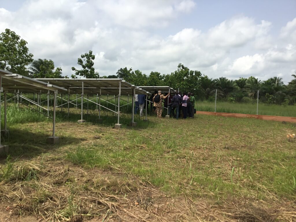 Champs solaire - Calavi Bénin 9