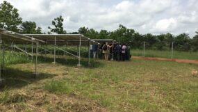 Champs solaire - Calavi Bénin 9