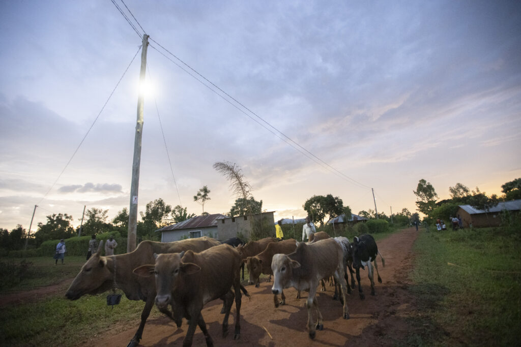 Evening at Sidonge, Busia.