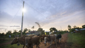 Evening at Sidonge, Busia.