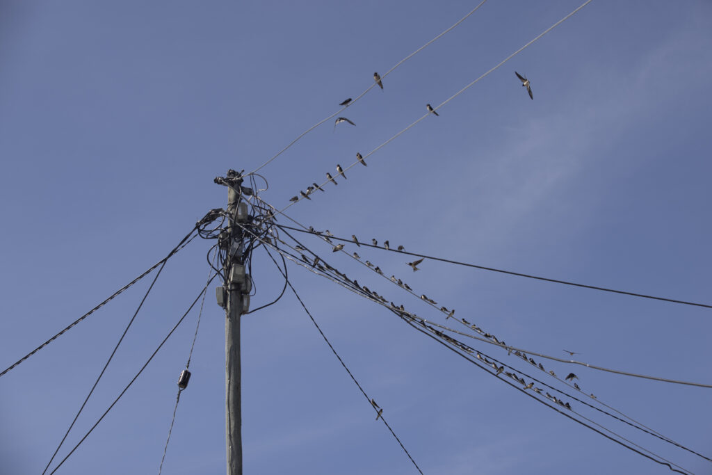 Power connections in Ndeda Island, Lake Victoria, Kenya.