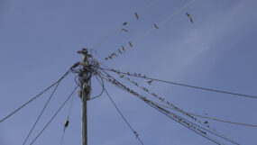 Power connections in Ndeda Island, Lake Victoria, Kenya.
