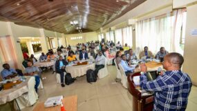 SETA - NAKURU STILLS 2