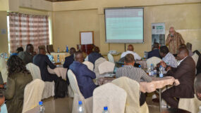 SETA - NAKURU STILLS